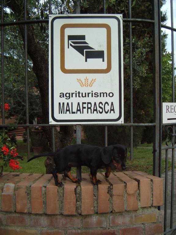 Agriturismo Malafrasca Vila Siena Exterior foto