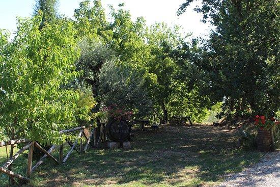 Agriturismo Malafrasca Siena Exterior foto